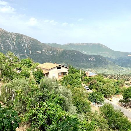 Τequila Sunrise Apartman Ágios Pétros Kültér fotó